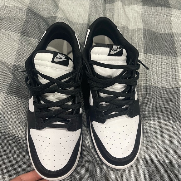 Nike SB Dunks Lows 